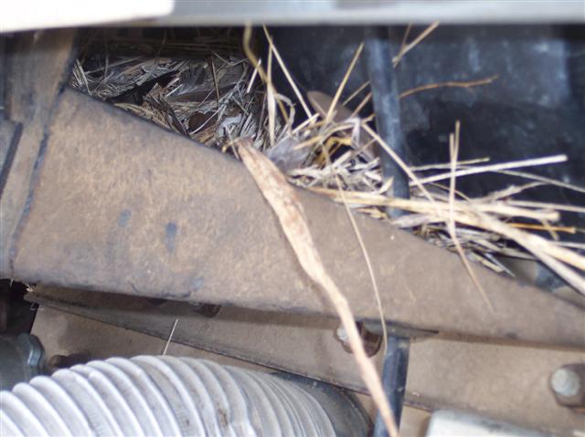 Wiper mount birds nest