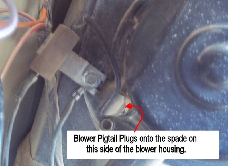 Blower_Motor Pigtail