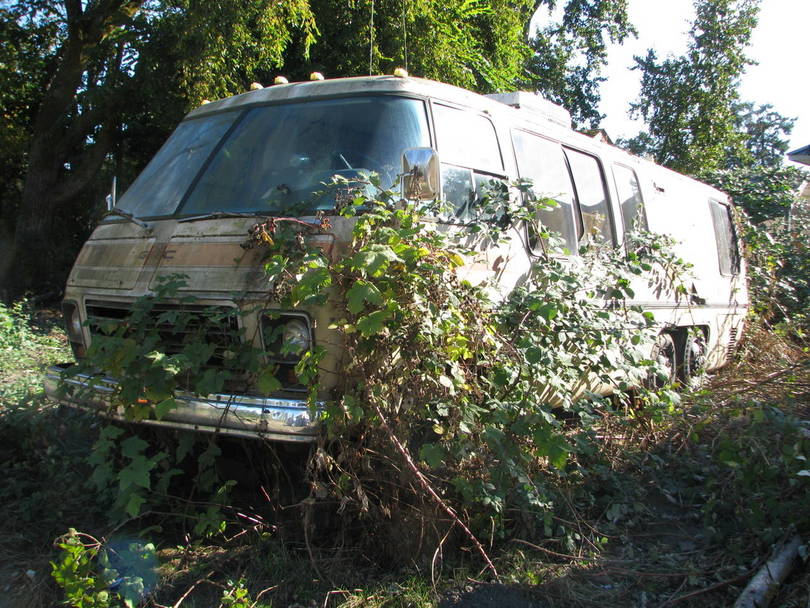 BC Blackberry patch Coach