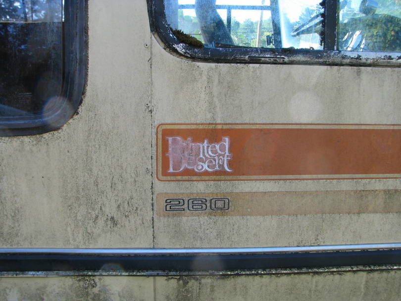 BC Blackberry patch Coach