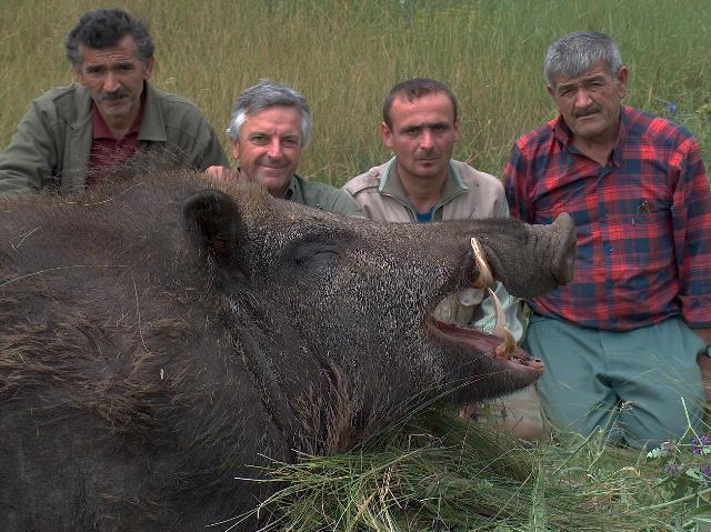 Texas Pigs at Montgomery