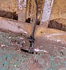 Picture_001-trim.jpg