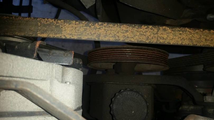 Serpintine Belt