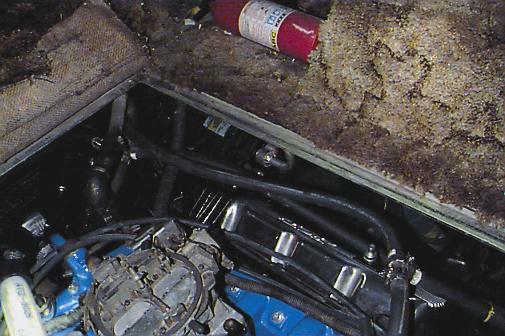 8_p89.jpg