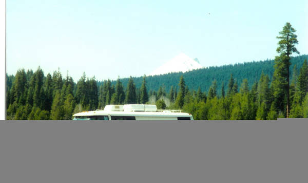 51_p610.jpg