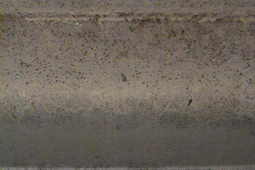 74_p638.jpg