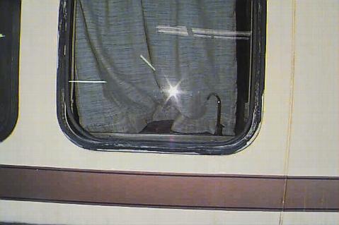 75_p672.jpg