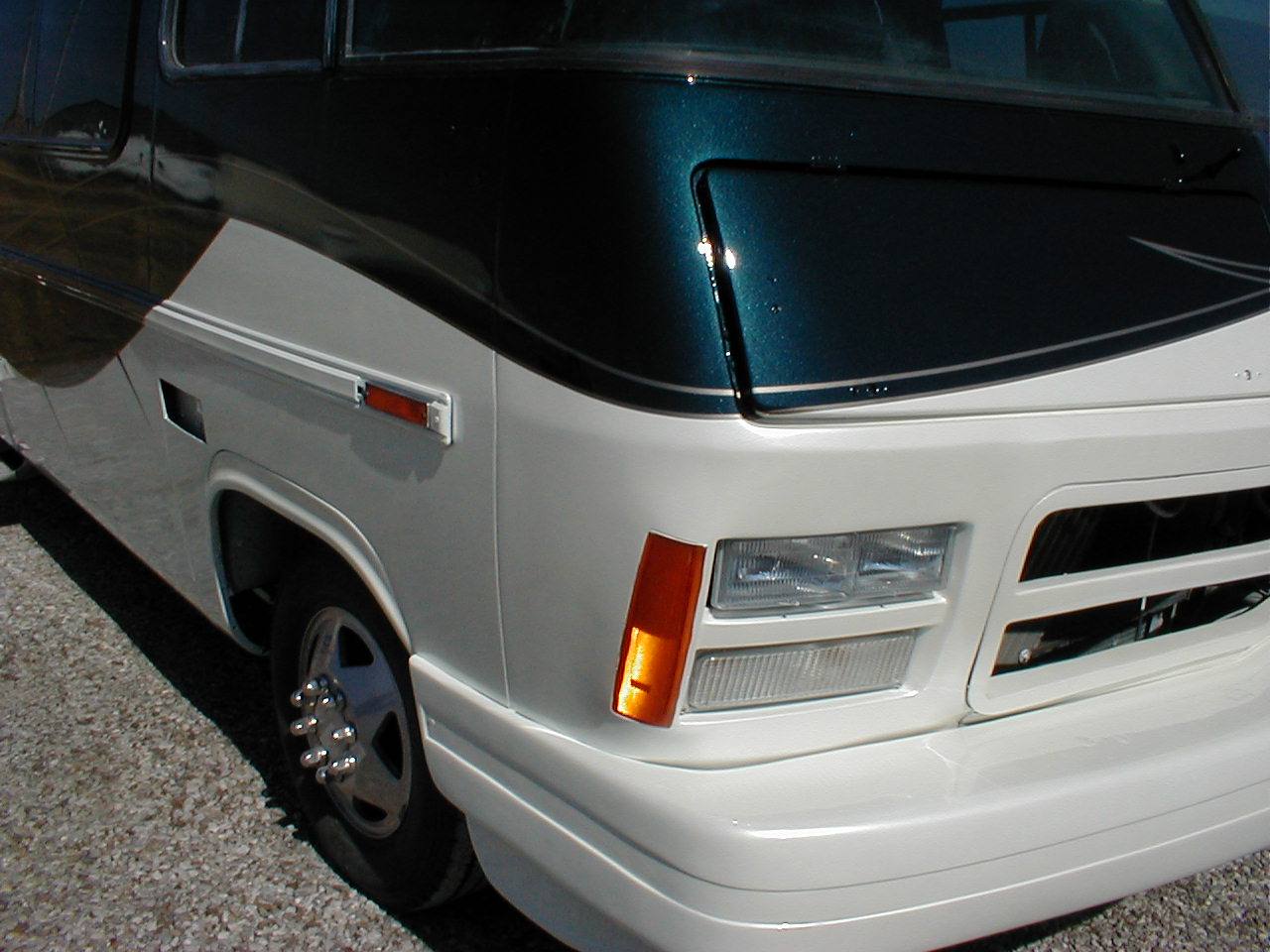 81_p875.jpg