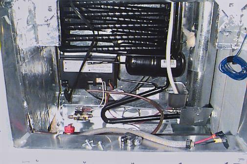 86_p955.jpg