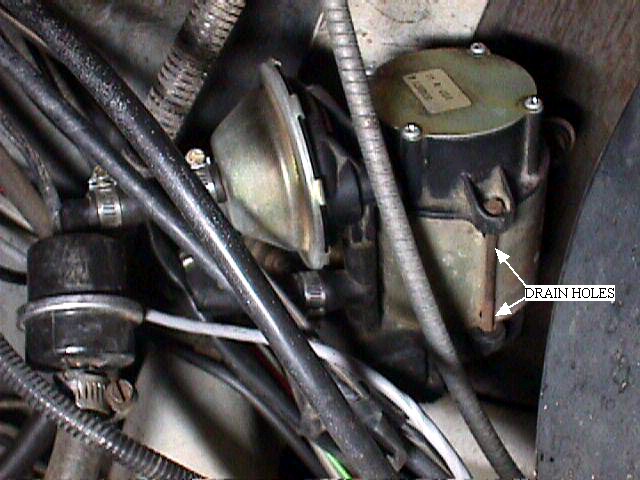 190_p1977.jpg