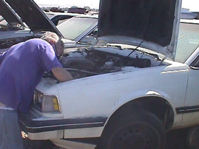 192_p1991.jpg