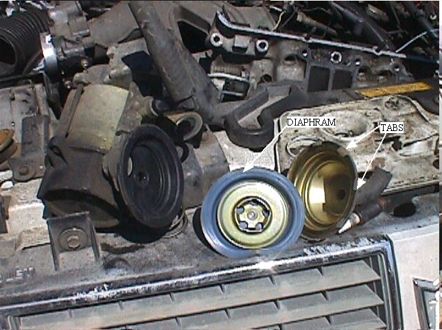 192_p1995.jpg