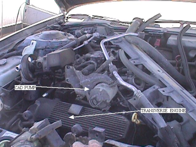 192_p2000.jpg