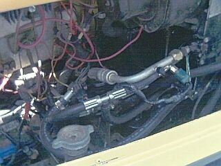 216_p2147.jpg