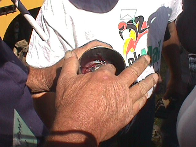 224_p2213.jpg