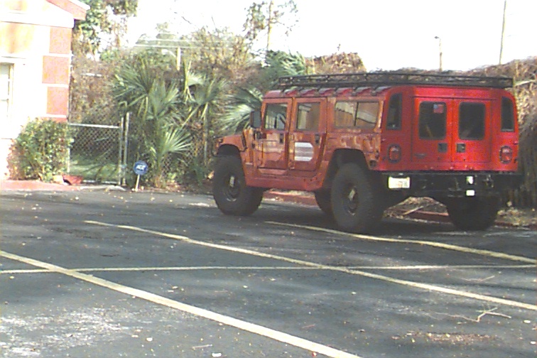230_p5955.jpg