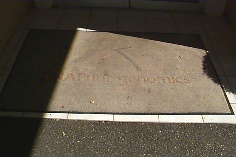 230_p5960.jpg