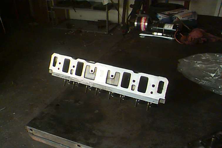 236_p2433.jpg