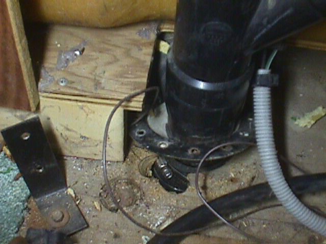 248_p2480.jpg