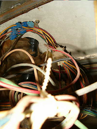 277_p6767.jpg