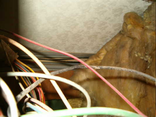 277_p6768.jpg
