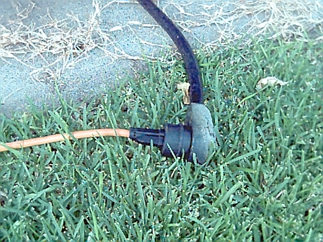 380_p3776.jpg