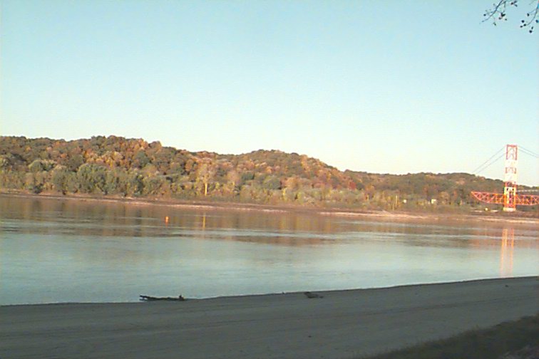 431_p4689.jpg
