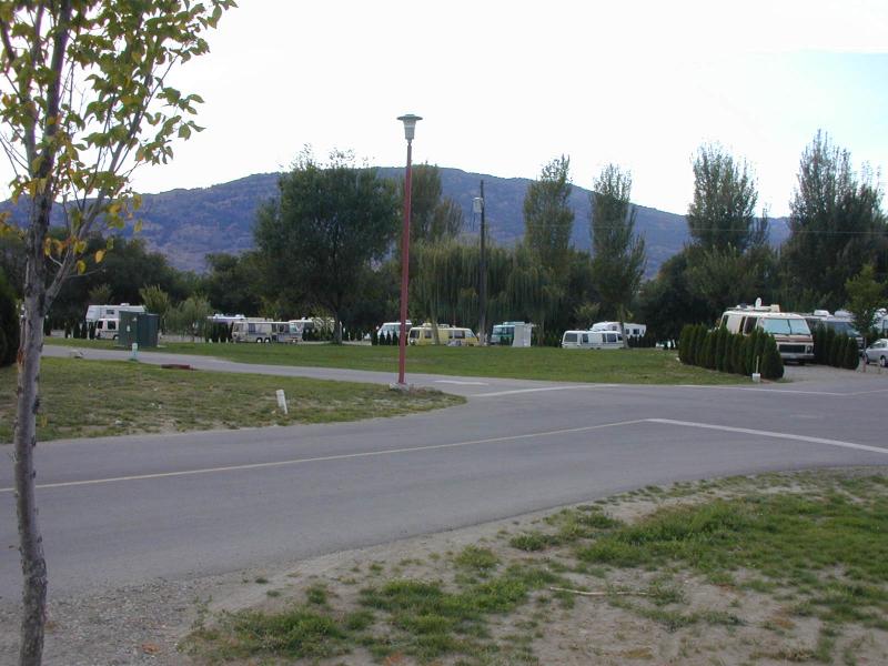 446_p4441.jpg
