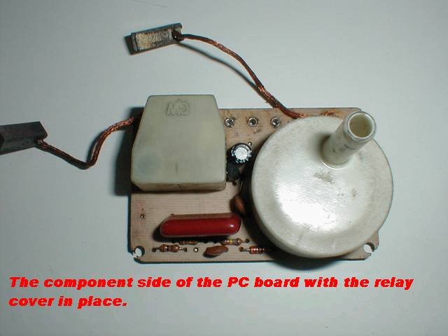 454_p4504.jpg