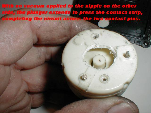 454_p4509.jpg