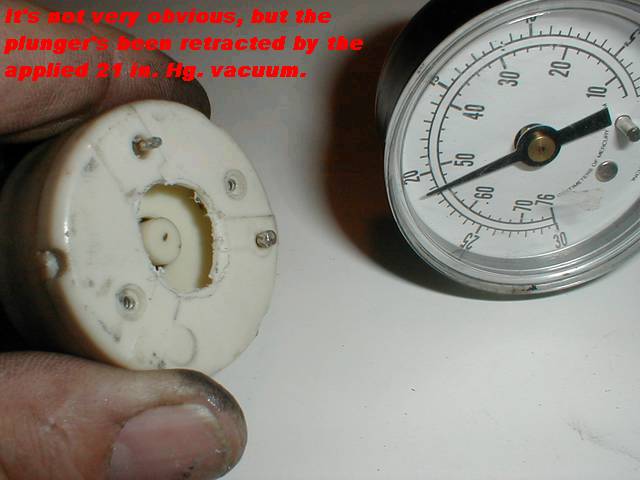 454_p4510.jpg