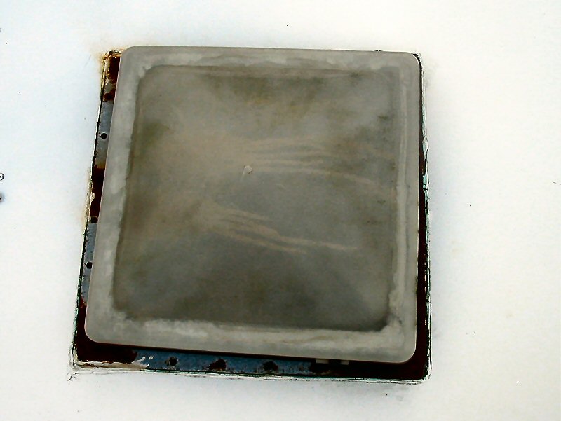 461_p4589.jpg