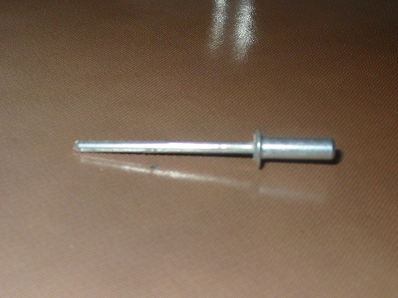 461_p4603.jpg