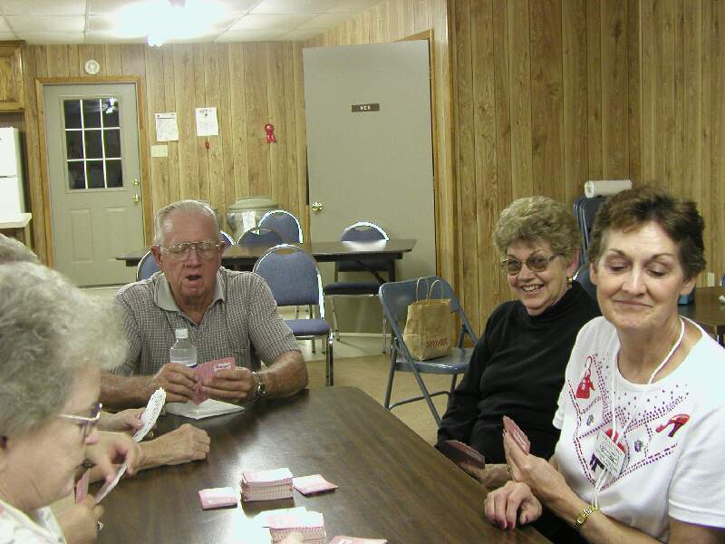 478_p4827.jpg