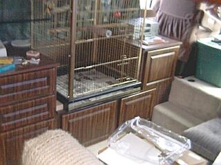 533_p5629.jpg