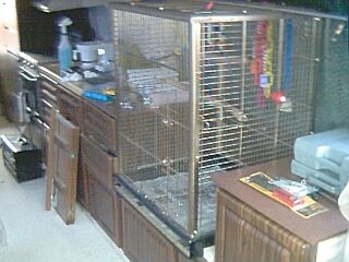 533_p5630.jpg