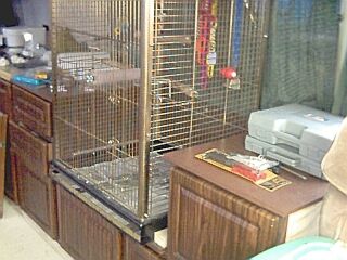 533_p5632.jpg
