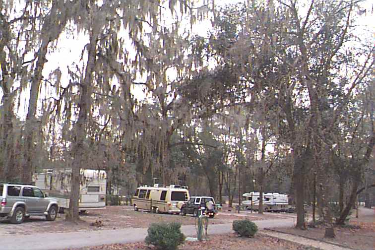 538_p5734.jpg