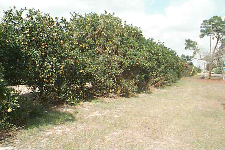 538_p5836.jpg