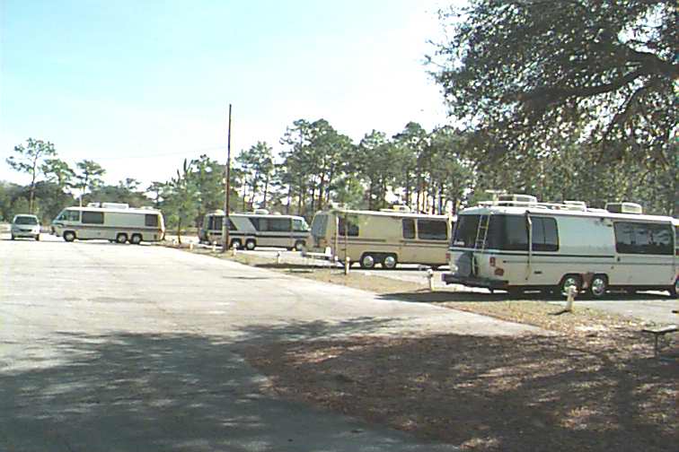 538_p6002.jpg