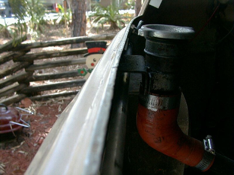 548_p5825.jpg