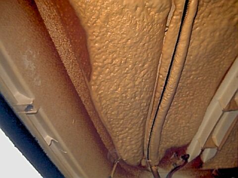 550_p5845.jpg