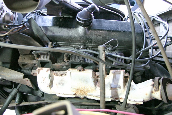 556_p5891.jpg