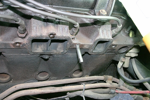 556_p5894.jpg