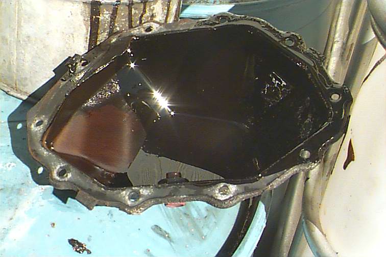 567_p6326.jpg