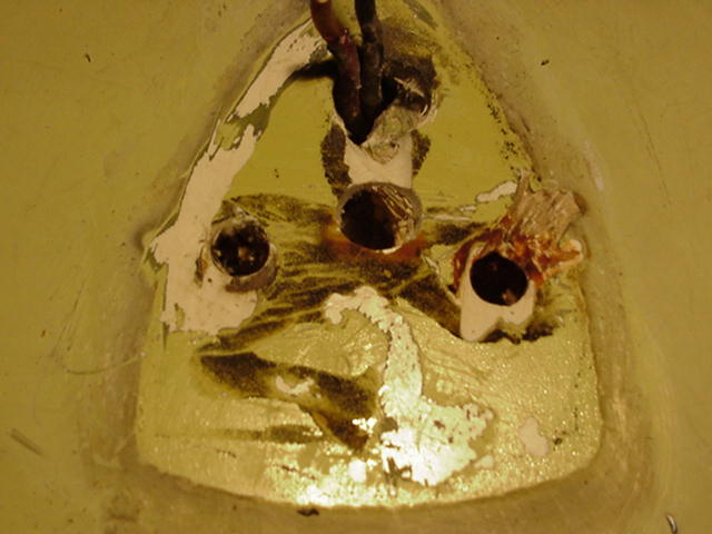 586_p6489.jpg