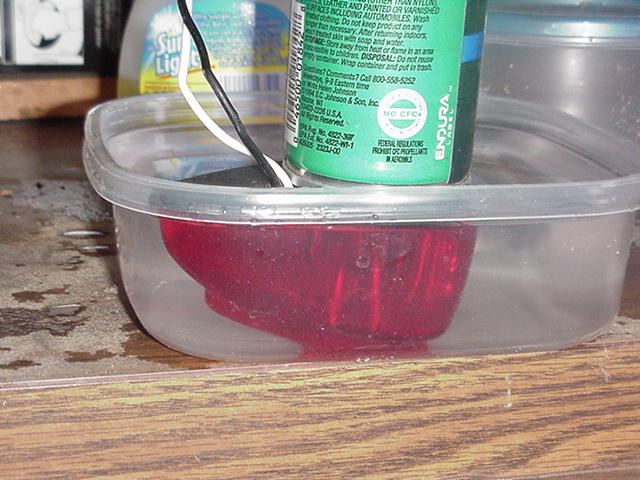 586_p6528.jpg