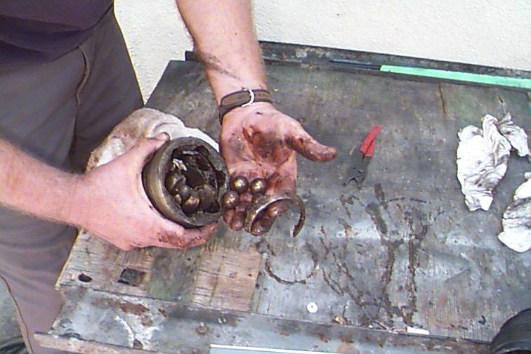 588_p7201.jpg