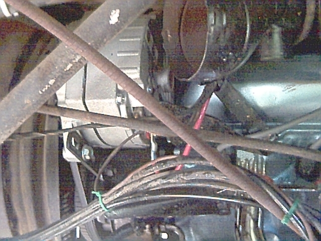 597_p6632.jpg