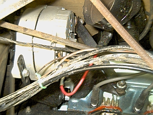 597_p6635.jpg